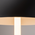 Настольный светильник Maytoni Z012TL-L8B3K