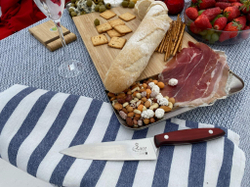 Кухонный нож Alexander L PRO AUS-8 Red G10