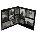 Pink Floyd / Animals (LP)