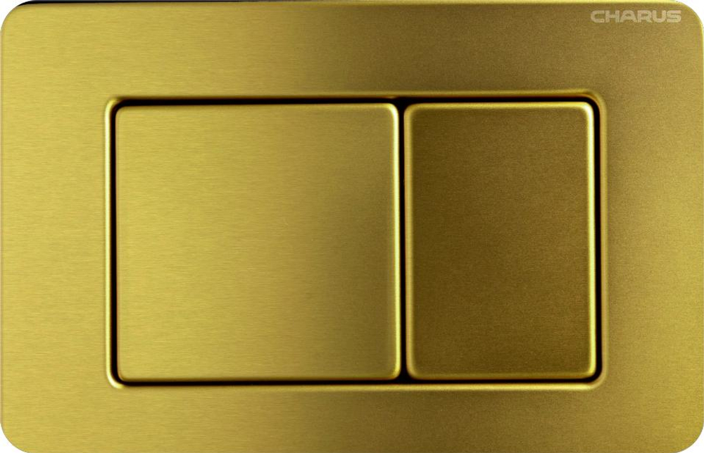 Клавиша для инсталляции CHARUS Robusto FP.310.BG.05, брашированное золото