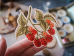 SINGLE RASPBERRY