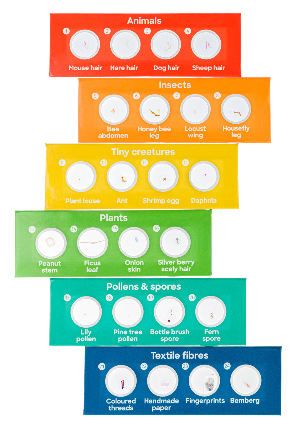 Микроскоп цифровой Discovery Nano Polar с книгой - фото 2