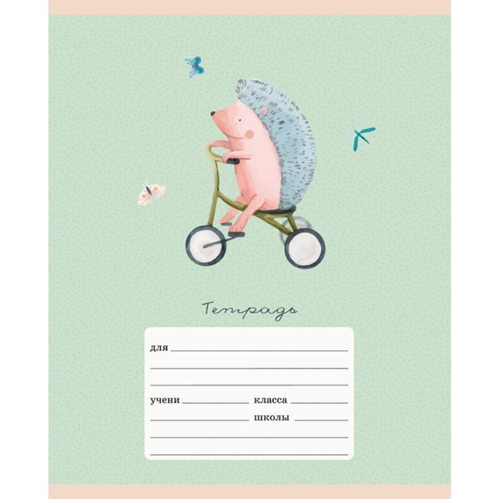 Тетрадь 12 л., клетка, 60 г/м2, обл. мел. картон, выб. лак, Listoff Кататься!_ассорти 5 дизайнов