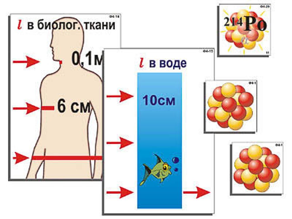 Модель-аппликация &quot;Явление радиоактивности&quot; (ламинированная)