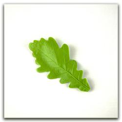 Лист дуба XL. Набор 2