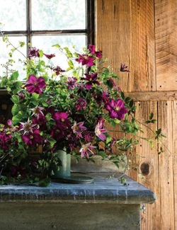 In Full Flower: Inspired Designs by Floral's New Creatives