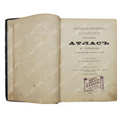 Гейцман К. Описательная и топографическая анатомия человека. Атлас с 600-ми рис. 1882
