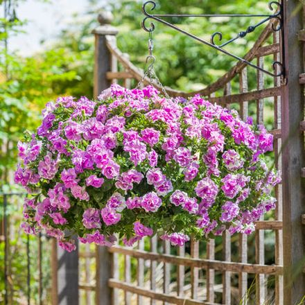 В наличии сегодня