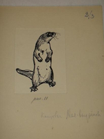 "Тринадцать оригинальных подлинных рисунков художников И.Година и В.Фролова. К книге Веры Чаплиной  Орлик".  - редкое издание