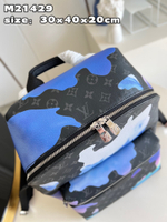 Louis Vuitton Discovery Backpack