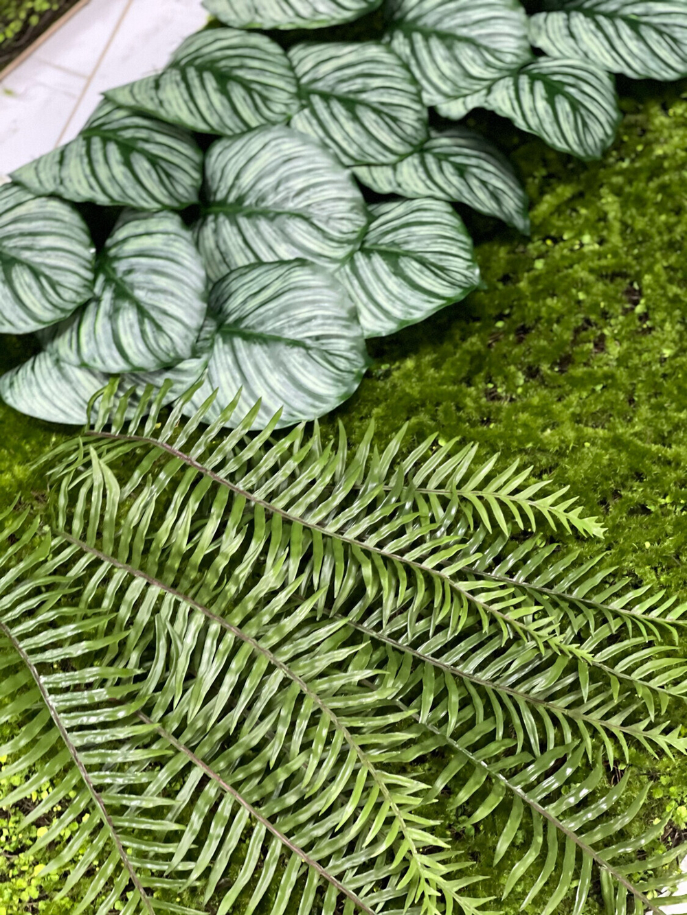 Папоротник остролистный ветка 130 см.