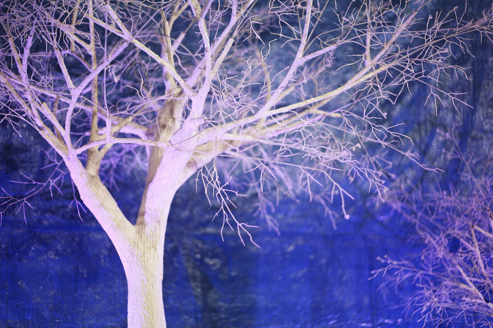 Искусственное дерево "Белое дерево с ветками без листьев" 2м