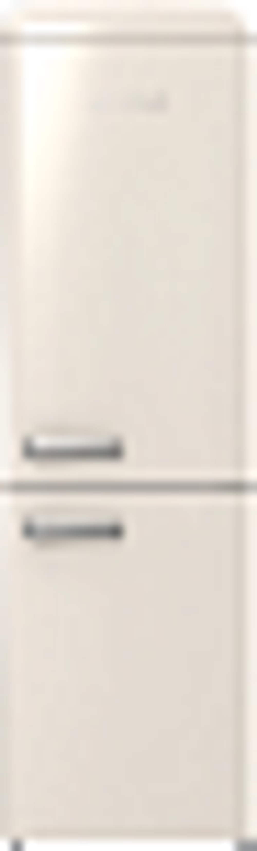 Отдельностоящий холодильник Gorenje ONRK619EC