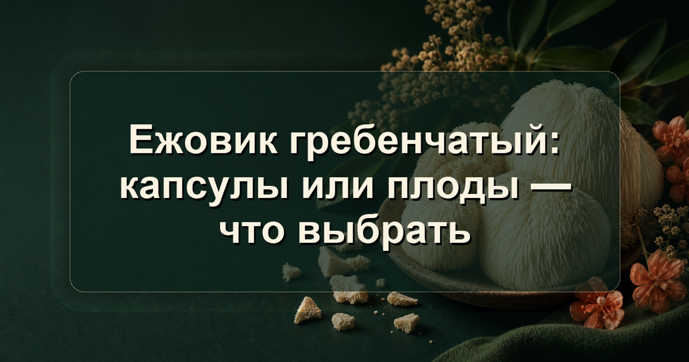 Ежовик гребенчатый: капсулы или плоды — что выбрать