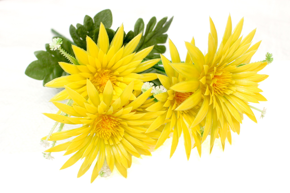 Букет Астры пластик