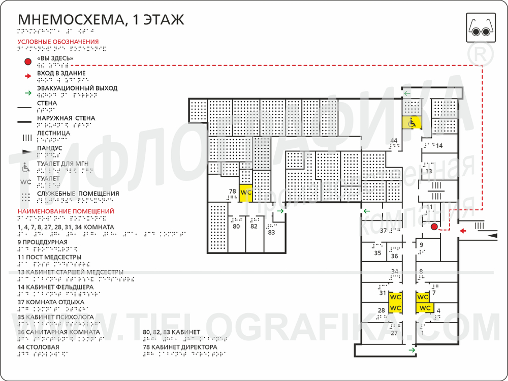 Тактильная мнемосхема ПВХ 600х800х3 мм. Стандартная