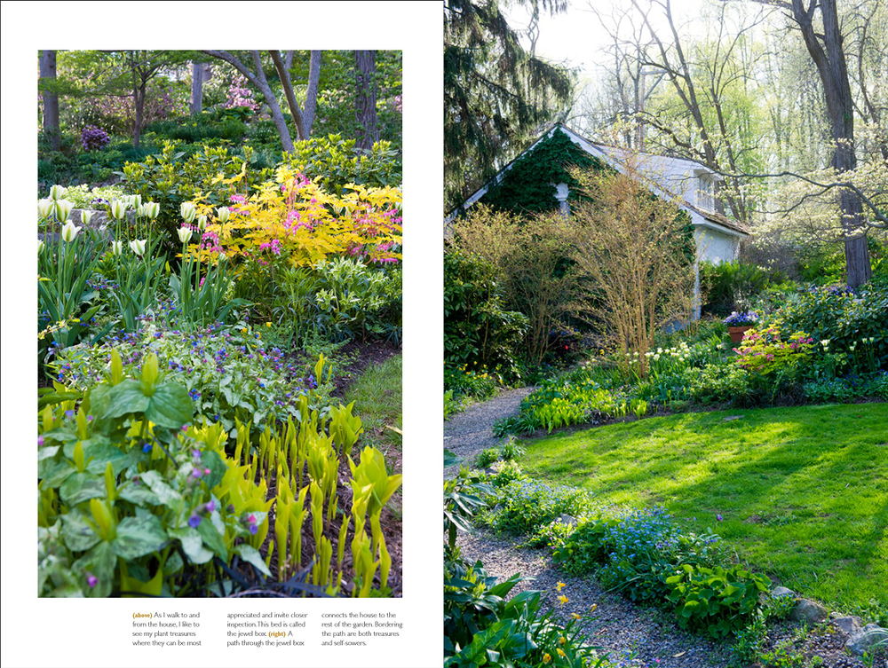 The Layered Garden