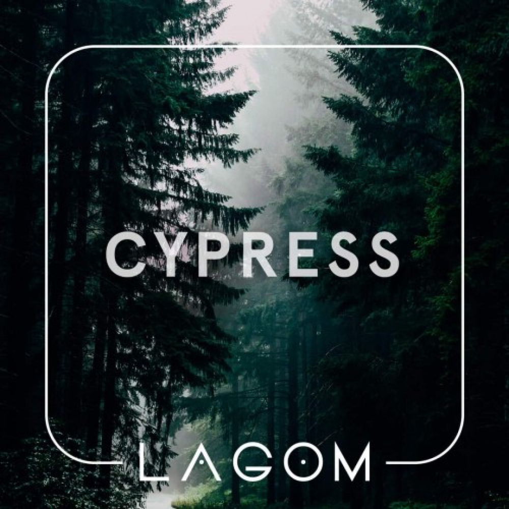 Lagom Navy Line - Cypress (40g)