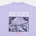  Футболка мужская Dickies Patrick Springs Tee  артикул:DK0A4YR7H181 - купить в магазине Дайс