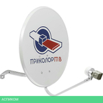 Комплект спутникового телевидения Триколор СТВ-0.55 (046/91/00008610)