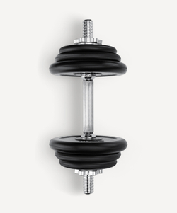 Гантель разборная обрезиненная в коробке DB-716, 10 кг