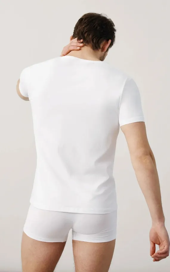 20102 Футболка мужская