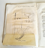 "Memoires de la societe imperiale des naturalistes de Moscou T. 1, 3, 5 (Воспоминания Московского Императорского Общества естествоиспытателей)". 1817 г.