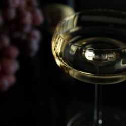 Рюмка коктейльная 270 мл Маргарита "Zie Optical" d 9 см h16,5 см оптические грани P.L. - BarWare [4]