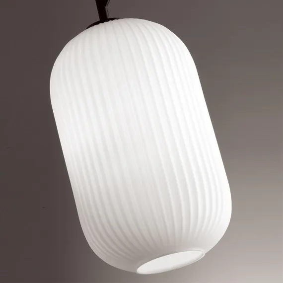 4751/1 PENDANT ODL21 489 белый/черный Подвес E27 60W ROOFI