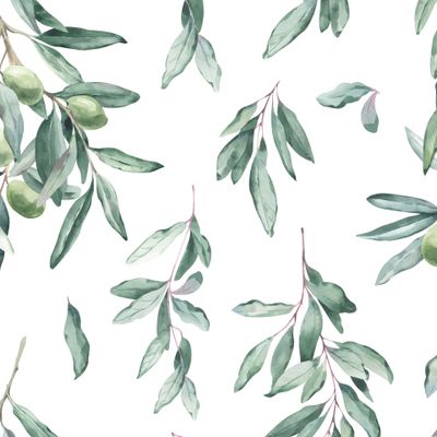 Элегантные акварельные оливковые ветви с листьями на белом фоне