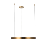 10013L Подвесной светильник LOFT IT Ring