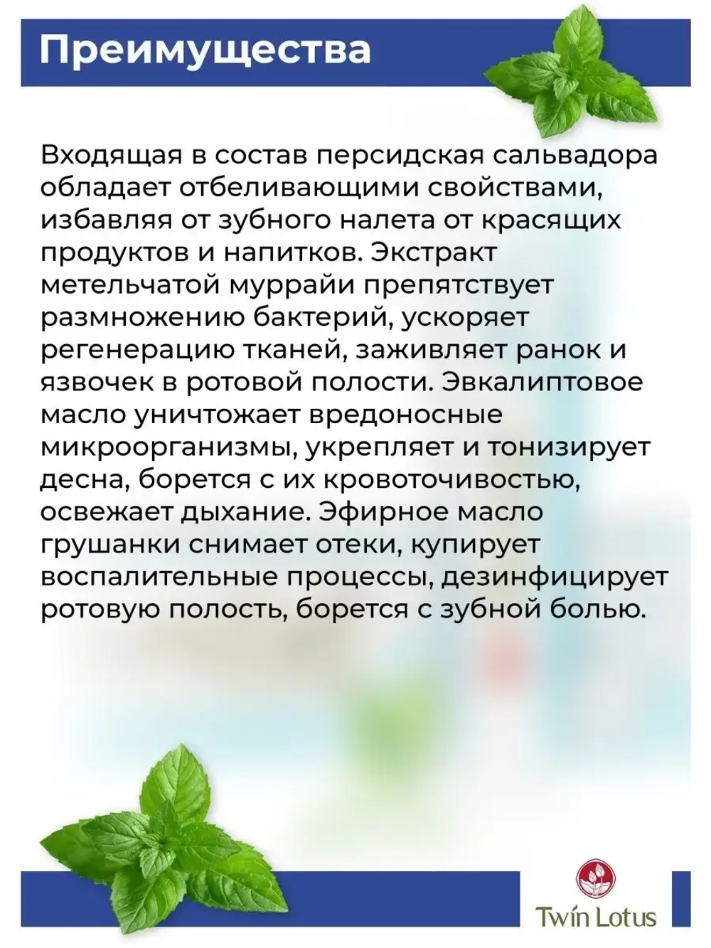 Травяная Зубная паста 40 гр