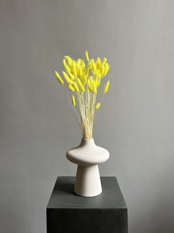 Лагурус желтый