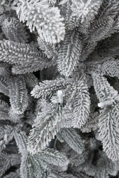 Искусственная елка Хеймдалль заснеженная 240 см., 100% литая хвоя, с холодными Led лампами, ЕлкиТорг (236240)