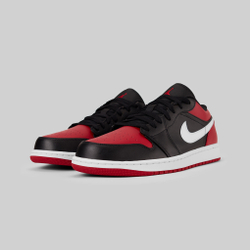 Кроссовки Jordan 1 Low Alternate Bred Toe