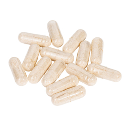 Ежовик гребенчатый