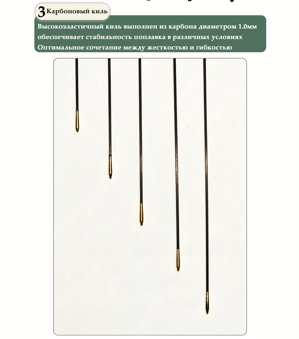 WILD MONSTER long carbon conical