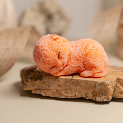 Котенок Пушок