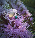 Кольцо СПУТНИК, серебро/опал/бирюза