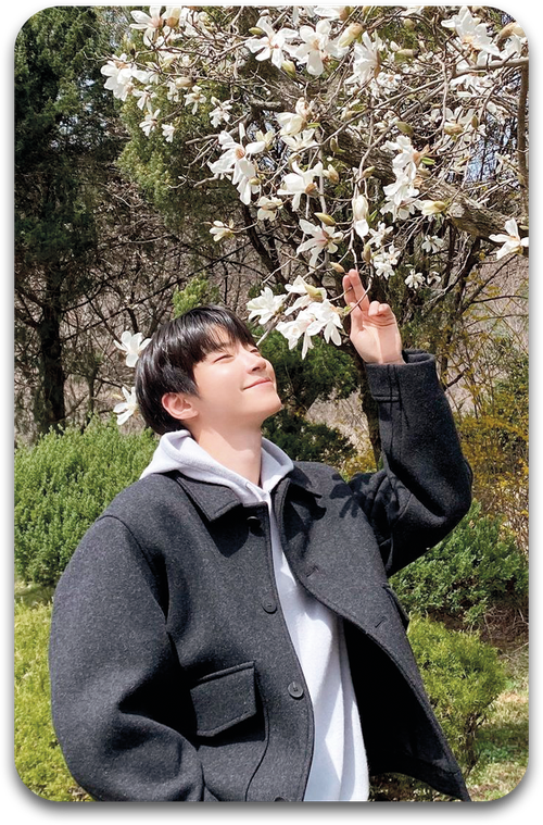 Карта #0296 / Hwang In Youp