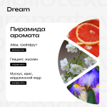 Dream