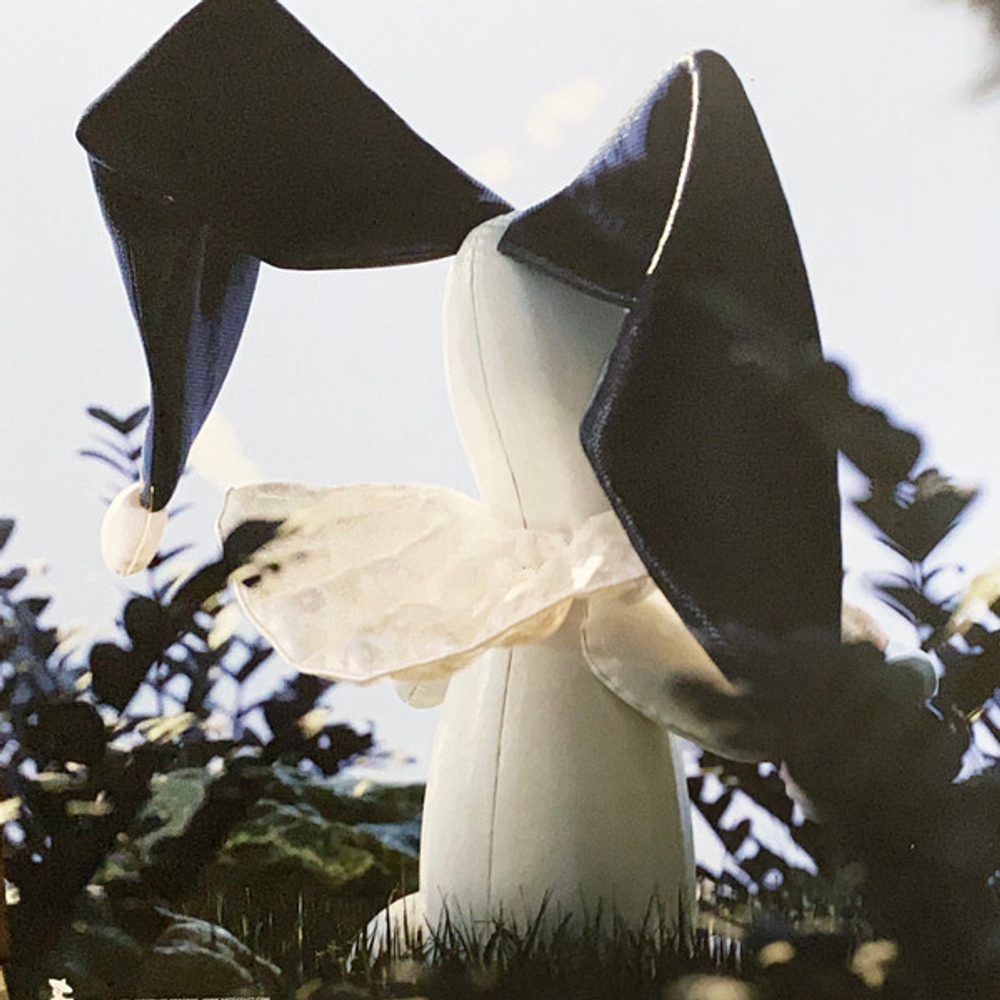 Ploho / Фантомные Чувства (Clear Vinyl)(LP)