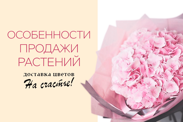 Особенности продажи растений Особенности продажи растений