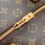 Louis Vuitton Speedy Soft 30
