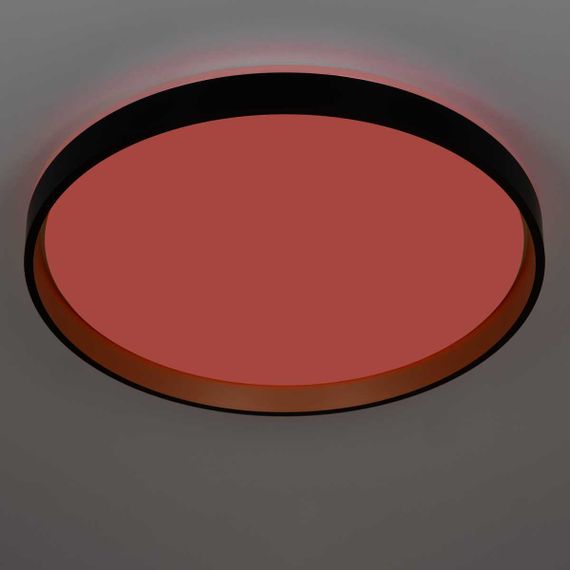 Светильник потолочный Citilux ENZO CL753511G