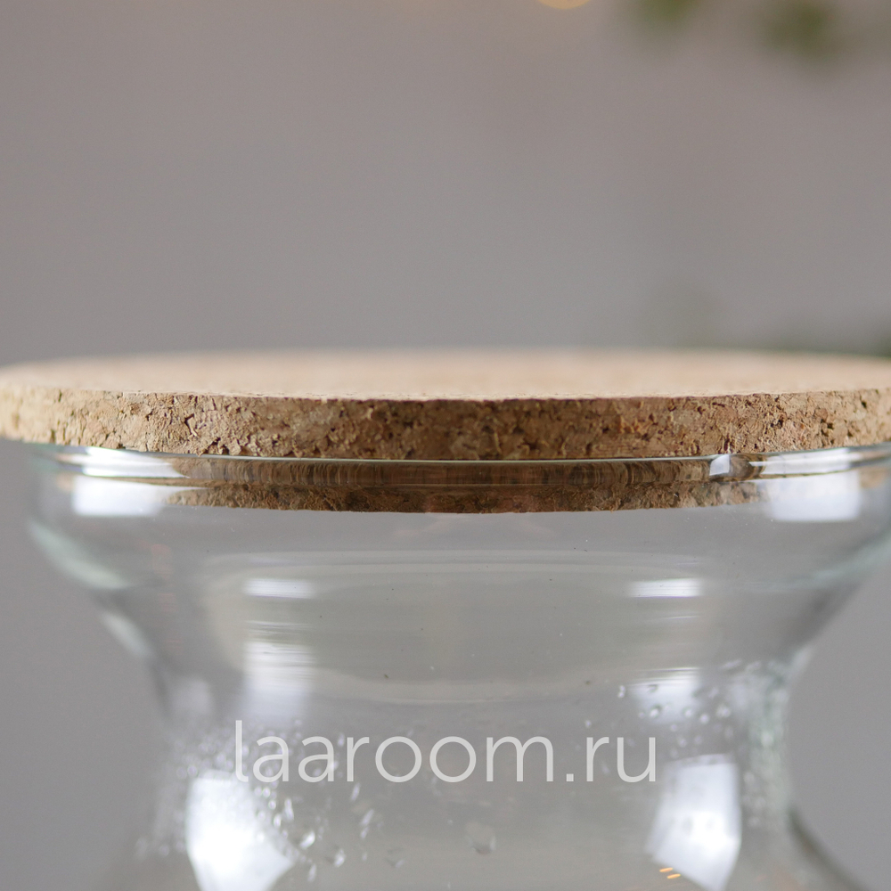 Флорариум эко-система Bubble Фиттония