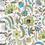 C02V-K00-Ka-0107__0107-lin