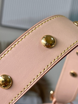 Louis Vuitton CarryAll PM