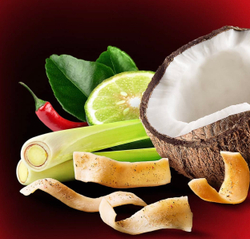 Чипсы кокосовые Вкусы мира 40г со вкусом том-ям