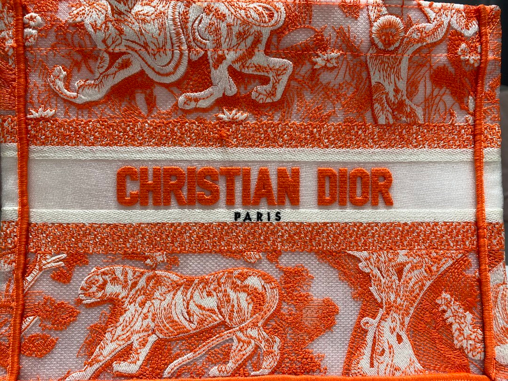 Christian Dior Book Tote 26 cm